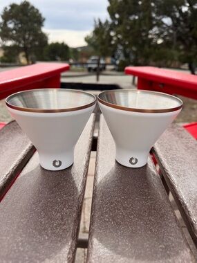 Snowfox White Copper-Rimmed Stainless Steel Tumblers - Set of 2